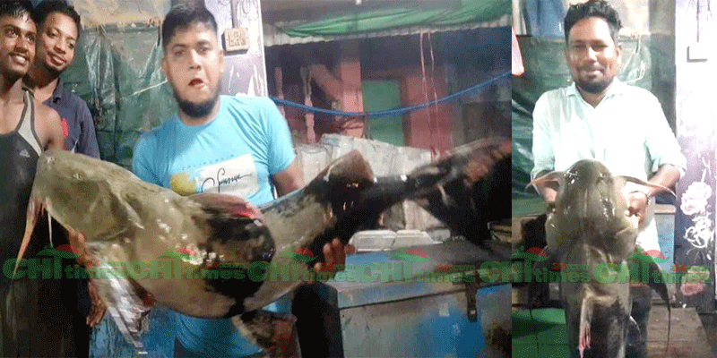 কাপ্তাই হ্রদে মিলল ২৩ কেজি’র বাঘা আইড়; বিক্রি হলো ৫৭ হাজার টাকায়