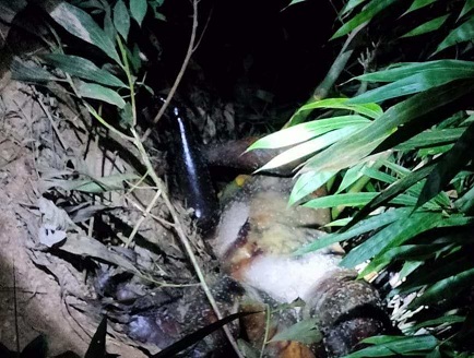 গহীন জঙ্গল থেকে অজ্ঞাত ব্যক্তির লাশ উদ্ধার
