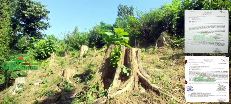 ​​​​​​​বনকর্মীদের যোগসাজসে উজার হচ্ছে দেশের দ্বিতীয় বৃহত্তম সংরক্ষিত বনাঞ্চল
