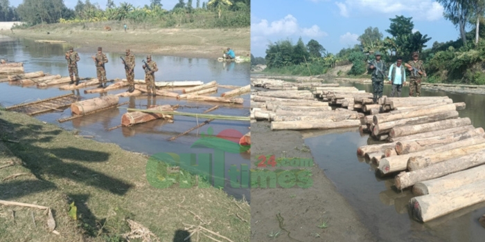 নিরাপত্তা বাহিনীর অভিযানে বিপুল পরিমাণ অবৈধ কাঠ জব্দ