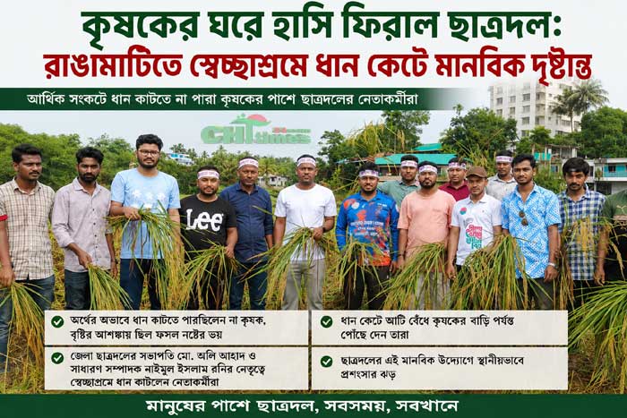 কৃষকের ঘরে হাসি ফিরাল ছাত্রদল: রাঙামাটিতে স্বেচ্ছাশ্রমে ধান কেটে মানবিক দৃষ্টান্ত