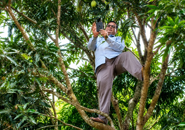 পাহাড়ে নেটওয়ার্কের খোঁজে আমগাছে শিক্ষক