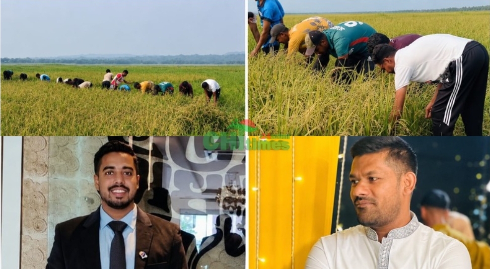 আর্থিক অসুবিধায় থাকা কৃষকের পাশে ছাত্রদল, ধান কেটে ঘরে তুলে দিলেন নেতাকর্মীরা