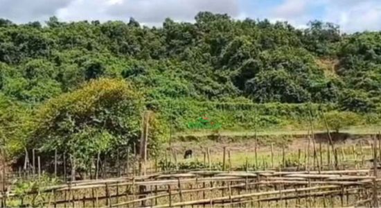 নাইক্ষ্যংছড়ি সীমান্তে স্থলমাইন বিস্ফোরণে রোহিঙ্গা যুবকের মৃত্যু