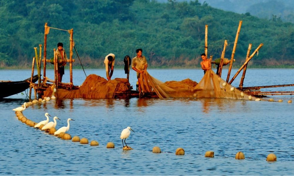 রাঙামাটির কাপ্তাই হ্রদে মাছ শিকারে নিষেধাজ্ঞা ১০ আগস্ট পর্যন্ত বৃদ্ধি