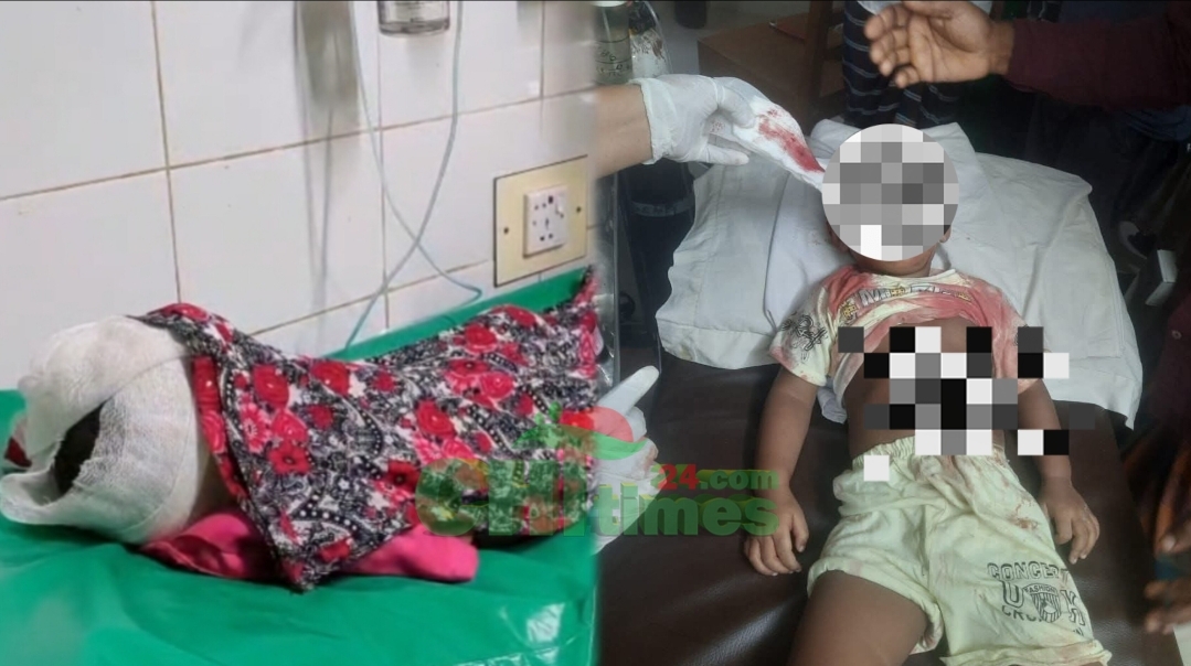 রাঙামাটিতে মাহিন্দ্রা-অটো'র মুখোমুখি সংঘর্ষে ২ বছরের শিশুর মর্মান্তিক মৃত্যু; আহত-৫